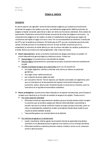 TEMA-6-SHOCK-APUNTES.pdf