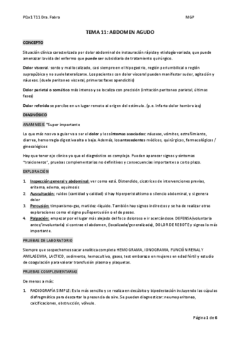 TEMA-11.pdf