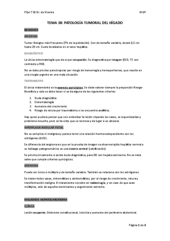 TEMA-38.pdf