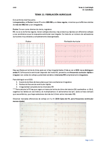 TEMA-11.pdf