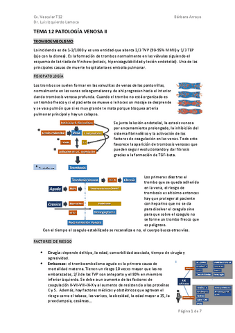 TEMA-12-VASCULAR.pdf