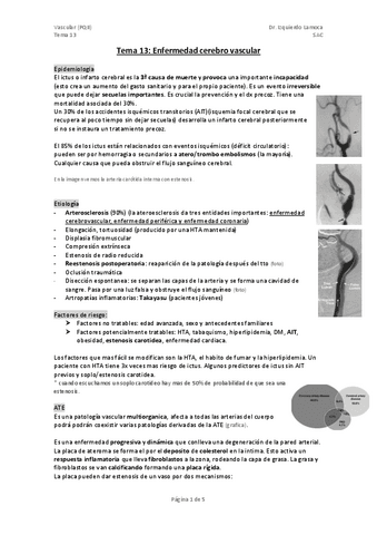 TEMA-13-enferemdad-cerebor-vascular.pdf