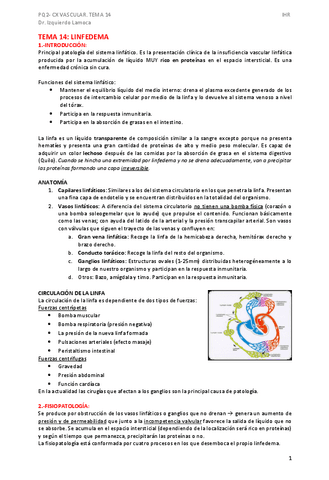TEMA-14.pdf