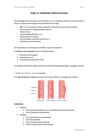 TEMA-15-vascular.pdf