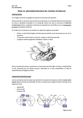 TEMA-10-orl.pdf