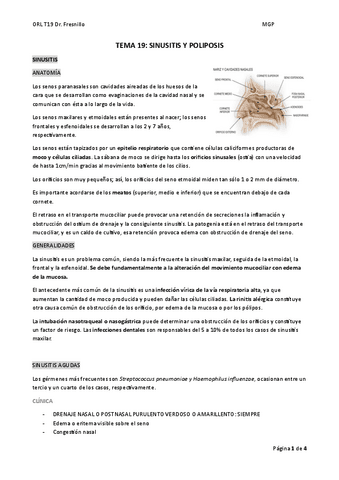 TEMA-19.pdf