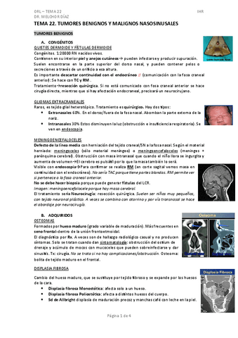 tema-22.pdf