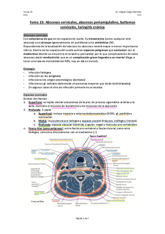 TEMA-23-abscesos-masas-y-faringitis-cronica.pdf