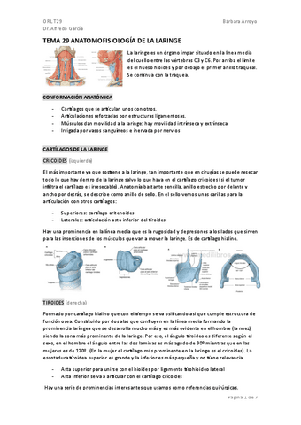 TEMA-29-ORL.pdf