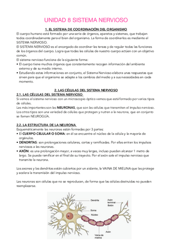 T8.-SISTEMA-NERVIOSO-API.pdf