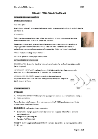 TEMA-22.pdf