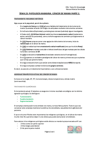 tema-23-gine.pdf