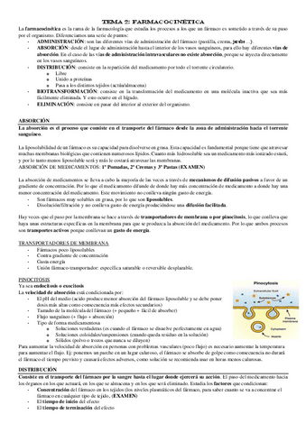TEMA-2.pdf