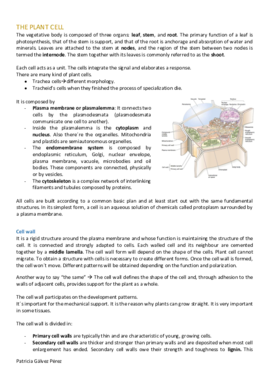 T 1 - The plant cell.pdf