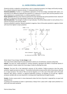 2.2 - WATER POTENTIAL COMPONENTS.pdf