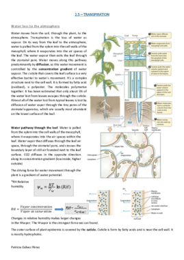 2.5 TRANSPIRATION.pdf