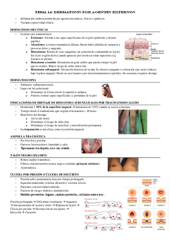 TEMA-14-Dermatosis-por-agentes-externos.pdf