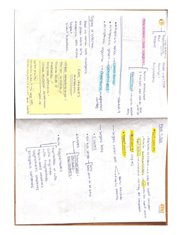 TEMA-4-TRAUMATOLOGIA-Resumen-esquema.pdf