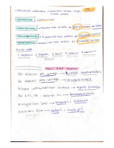 TEMA-5-CARDIACO-CIRCULATORIO-RESUMEN-ESQUEMA.pdf