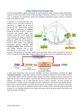 2-Signal transduction in plant development.pdf