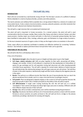 3-The plant cell wall.pdf