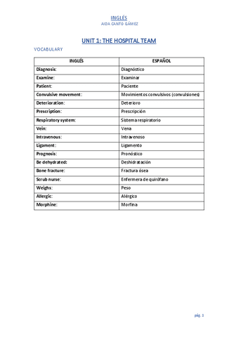 APUNTES-INGLES.pdf