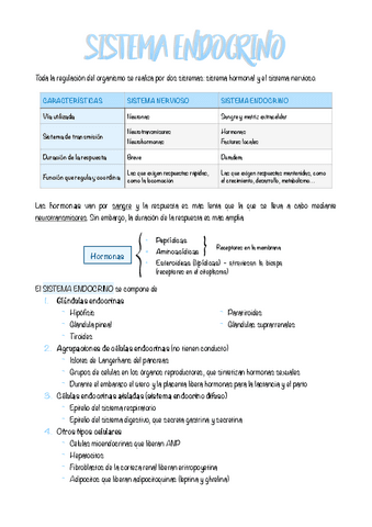 8.-SISTEMA-ENDOCRINO.pdf