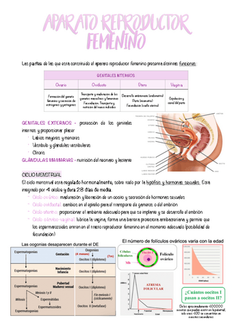 10.-APARATO-RERODUCTOR-FEMENINO.pdf