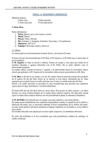 MIEMBRO-INFERIOR-VALLE.pdf
