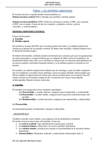 SN-VALLE.pdf