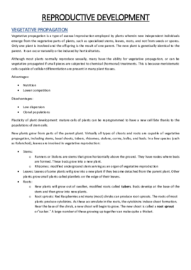 4 - Reproductive development.pdf