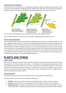 6-Plants and stress.pdf
