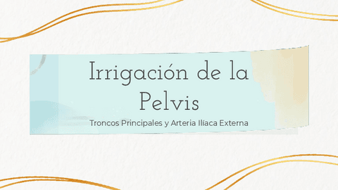 Irrigacion-de-la-Pelvis-Anatomia.pdf