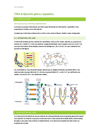 Tema-4-Psicobiologia-I.pdf