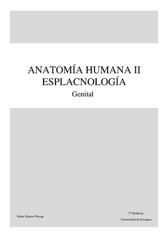 5.-Genital.pdf