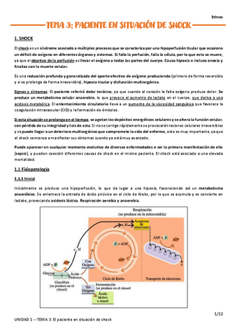 TEMA-3.pdf