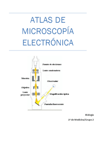 Atlas De Microscopia Electronica Con Un Poco De Teoria Pdf