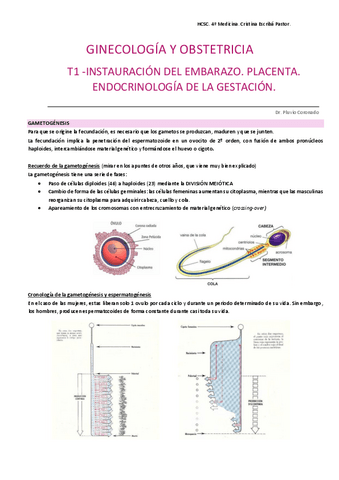 Apuntes-obstetricia-HCSC.pdf