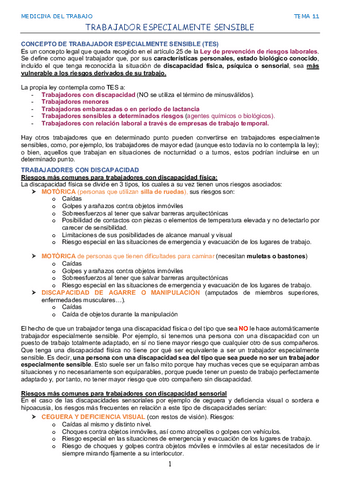 TEMA-11.-TRABAJADOR-ESPECIALMENTE-SENSIBLE.pdf
