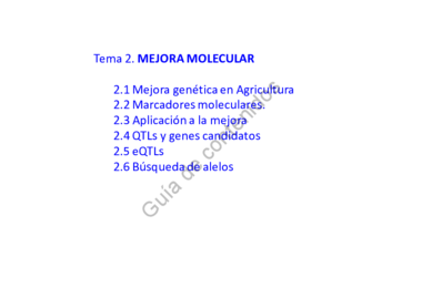 2 Mejora molecular.pdf