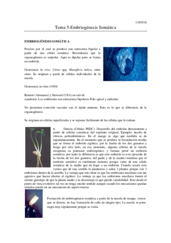 Tema 5- Embriogénesis Somática.pdf