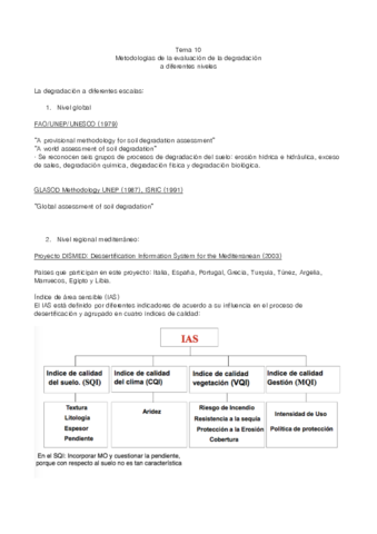 Tema 10 Rehabilitación.pdf