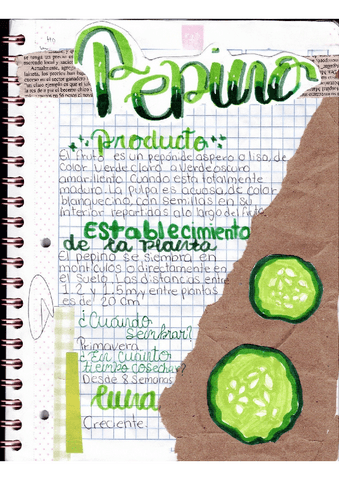 investigacion-del-pepino.pdf