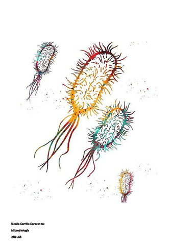 TABLAS-BACTERIAS.pdf