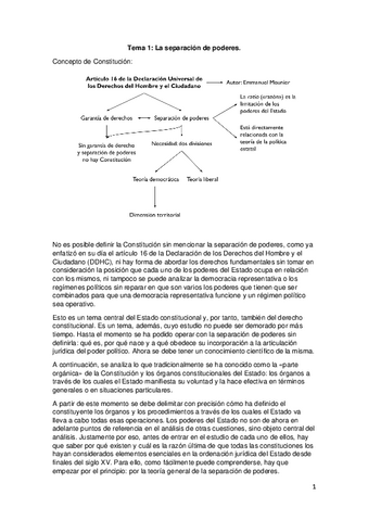 Tema-1-consti-II.pdf