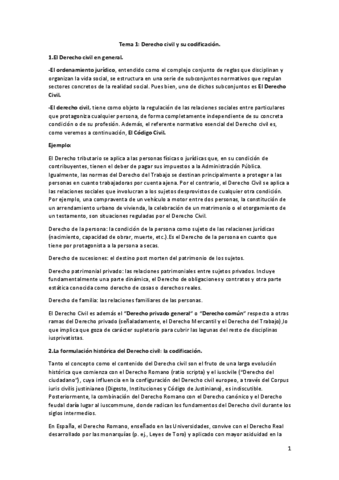 Tema-1-civil.pdf