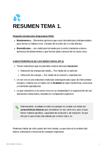 RESUMENTEMA1..pdf