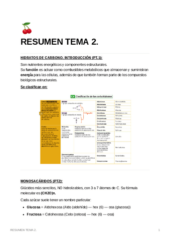 RESUMENTEMA2..pdf