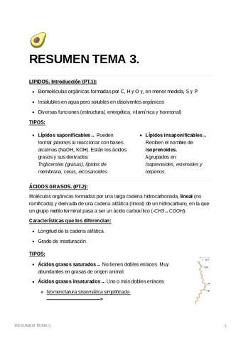 RESUMENTEMA3.pdf