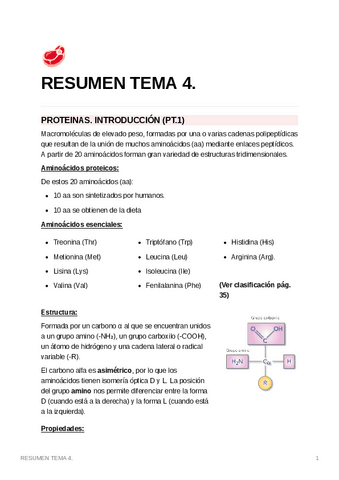 RESUMENTEMA4..pdf